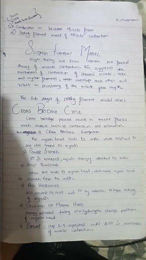 Muscle Contraction & Relaxation | Sliding Filament Model | Cross Bridge Cycle #crossbridge #muscle