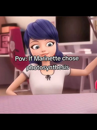 Photosynthesis Explained: If Marinette Chose Photosynthesis