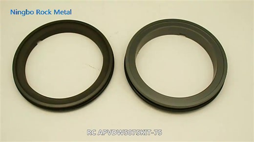Factory Price APV 25MM Sanitary Mechanical Seal for Pharma & Dairy Pumps Seal Kit SSIC-CAR-V