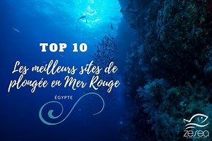 ★ TOP 10 Les meilleurs spots de plongée en Égypte (Mer Rouge) !