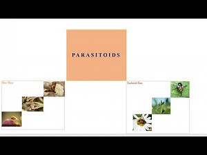 Parasitoids