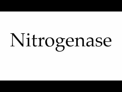 How to Pronounce Nitrogenase