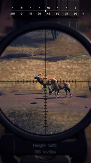 An Antelope A Day Keeps The Doctor Away 🤣🥸 - Way of the Hunter #wayofthehunter #hunting #gemsbok