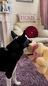 Barney and Michael Caine save the day. Not a lot of people know that | Stephen Kelleher