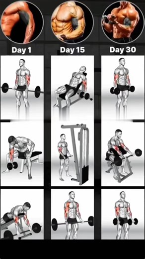 Why Your Bicep Workout Isn't Working and How to FIX IT