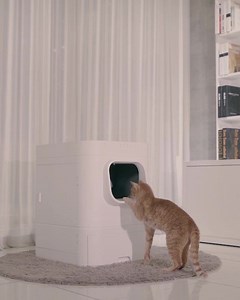 Be among the first to eliminate the litter box chore for 21 days. LavvieBot S even quietly refills litter & monitors your cat's health for you! | RobotShop