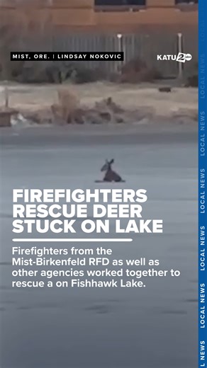 232K views · 2.8K reactions | Firefighters rescue a deer from a frozen Oregon lake. | KATU News | Facebook