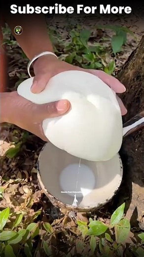 How To Make Rubber 🏡😲 👺। #shorts