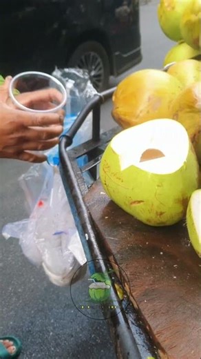 The Most Satisfying Coconut Experience