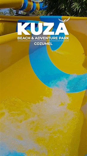 2.8K views | THE BEST WAY TO TRULY EXPERIENCE COZUMEL All of it. One...