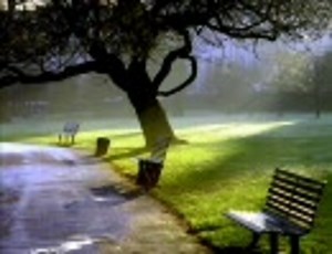 奥田美和子「雨と夢のあとに」