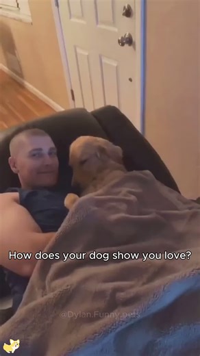 Who Can Resist a Loving Dog? Discover Heartwarming Moments