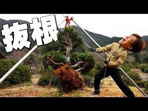 チェーンブロック抜根ヤバすぎｗｗｗ