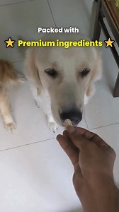 Those little skips, the hesitation before a jump—your pet could be in silent discomfort! JOUNCE® brings them lasting joint support, helping senior pets move with ease and younger ones stay bouncy for longer. 💪 Reduces stiffness & supports mobility 🌿 Anti-inflammatory, natural ingredients 🐾 Perfect for senior or active pets ✅ Easy to administer daily Help them bounce back—literally. Shop JOUNCE® now. | Unleash Wellness