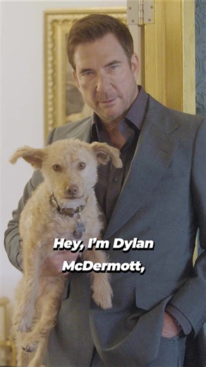 22K views · 1.1K reactions | Happy birthday to actor, rescue dog guardian, and real-life hero to animals, Dylan McDermott 﫶 From courtroom drama to crime-fighting action, Dylan knows how to serve justice. Now, he’s urging everyone to do the same for animals. Speaking up about abuse can help save 혢혭혭 animals’ lives. | PETA (People for the Ethical Treatment of Animals) | Facebook