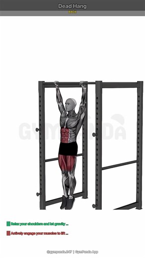 Dead Hang - Perfect Form Guide #shorts