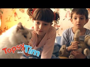 Lost cat & Indoor tent | Topsy and Tim | Cartoons for Kids | WildBrain Kids - Videos For Kids