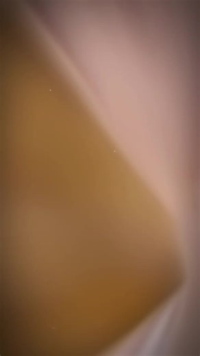 Đinh thiếu đưa cái mặt này ra là đang quyến rũ ai v hả. #dingchengxin #dinhtrinhham #fyp #vairal #tntthoiddaithieuniendoan