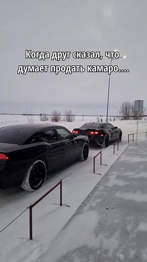 Snowy Cars and Playful Moments: A Heartwarming Journey