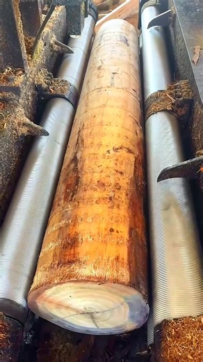 29K views · 12 reactions | Wood log peeling and cutting process | Dawgshell | Facebook