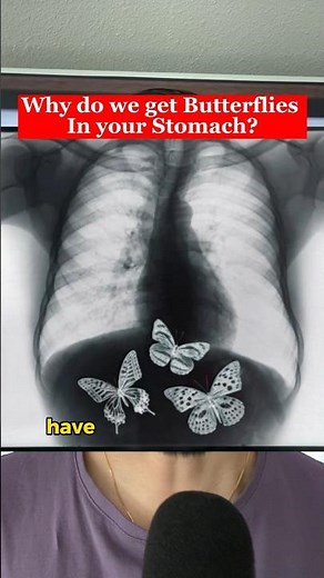 Butterflies In Stomach Explained