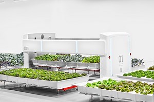 Leafy greens are grown by machines at new, automated Silicon Valley farm