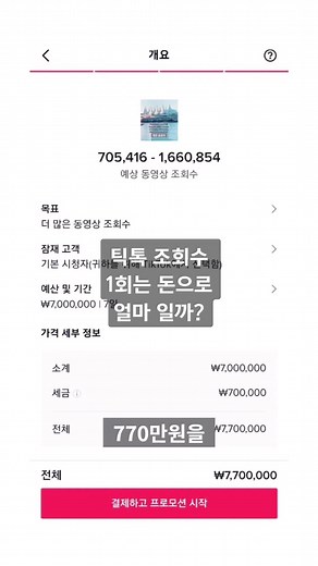 틱톡 조회수의 경제적 가치 분석
