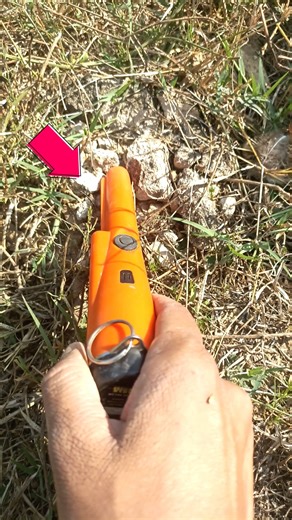 best pinpointer gold hunting in india #metaldetecting #pinpointermetaldetecor #shortsfeed #viral