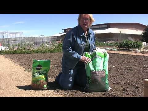 Gardening How-To: Soil Amendments