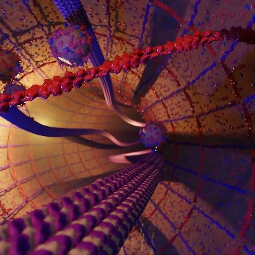 The axonal cytoskeleton and other components