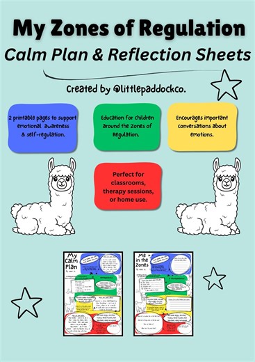 Zones of Regulation Calm Plan & Reflection Sheets (PDF) - Etsy
