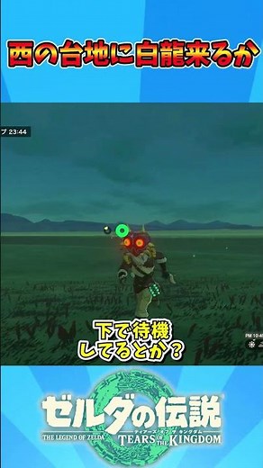 Will a white dragon appear on the western plateau? #TheLegendofZelda #Bug #Tiakin