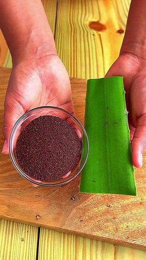 Mezcla café con alóe vera y tu cabello crecerá como loco. | Remedios Caseros