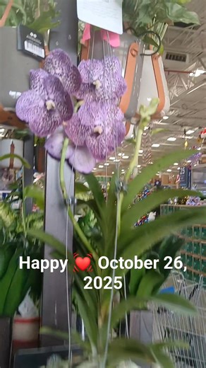 Elizabeth Tracey Tupling on Reels