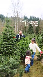 🎄 Christmas Tree U-Cut at Serres Farm 📍 20306 NE 50th St, Redmond, WA 98053 🕘 Friday–Sunday | 9 AM–4 PM We love the tradition of cutting down our own Christmas tree! Now it’s time to decorate and enjoy some delicious cookies baked by Chris 🍪🥛 ✨ Wishing you all a joyful holiday season—and a gentle reminder that on social media we often see highlights, not the full story ♥️ | kingcountymama2020