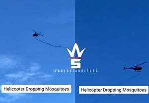 People Are Coming For Bill Gates After Government Dropped 2.4 Billion Genetically-Modified Mosquitos In California & Florida!