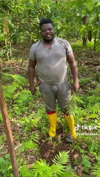 I was there in persons to make everything works out super 👌