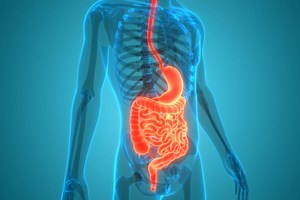 Substance Abuse Can Affect Your Digestive System: Here's How