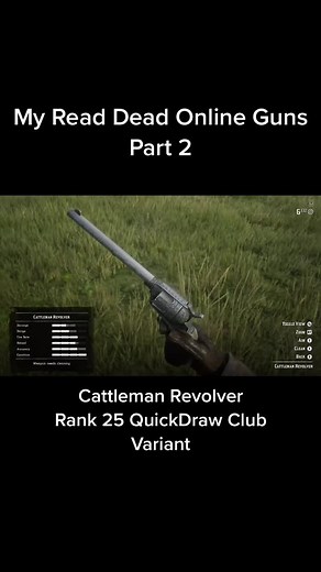 Customized Cattleman Revolver & Lemat in RDR2