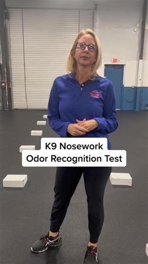 Canine Nosework Odor Recognition Test Highlights