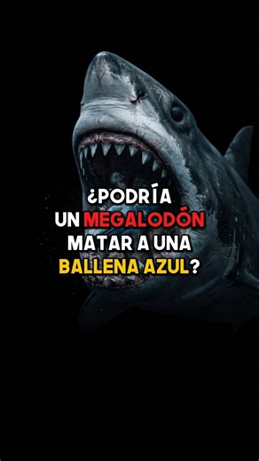 ¿Podría un Megalodón matar a una Ballena Azul? 🦈