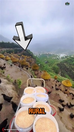 They Built a Monorail on a Cliff—Just to Feed Chickens. #documentary#usashorts#fyp