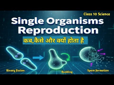Single Organisms 😍 ka Reproduction | Modes of Reproduction Explained in Hindi 