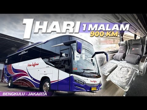Rp 560,000 RIDE THE NEW PUTRA RAFFLESIA BUS, WHAT WILL YOU GET? Trip Bengkulu-Jakarta with Putra ...