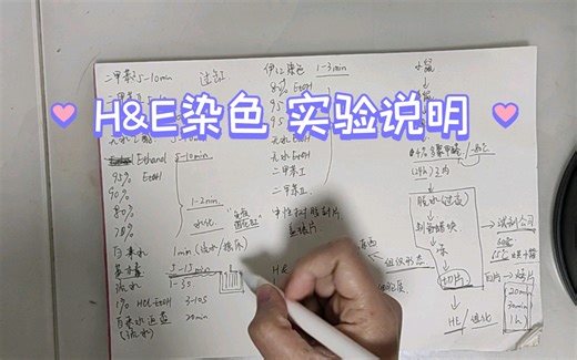 H&E染色 实验说明