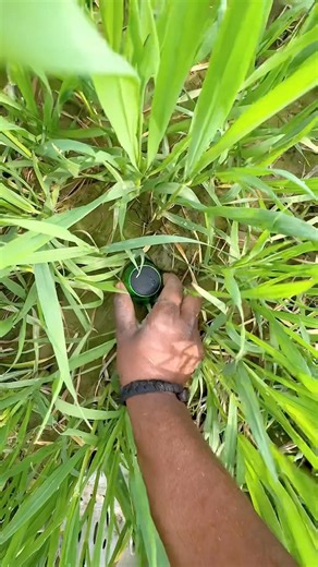 Mini speaker jumping test bass ￼