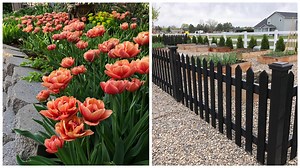 68K views · 3.4K reactions | Spring Blooms & Vegetable Garden Tour! 復 | Garden Answer | Facebook