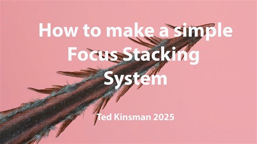 How to Build a Simple DIY Focus Stacking System