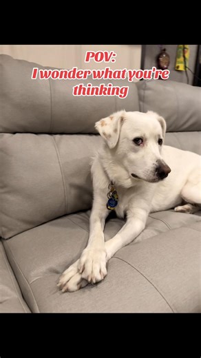 Ida: Mom why are ya always taking pictures of me. Mom: Because your my beautiful lil princess who I love to the moon and want to hug you all the time🤗❤️