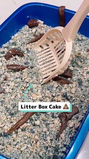 I made my annual kitty litter cake 🎂💩 #fblifestyle | Craft Factory